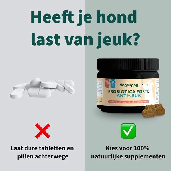 A split-screen comparison ad highlighting the benefits of natural pet supplements over traditional synthetic tablets for itch relief.